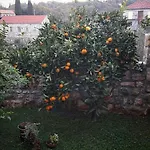 Kuca Cvjetkovic Pensión Gruda