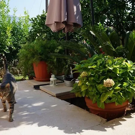 Casa de hóspedes Kuca Cvjetkovic