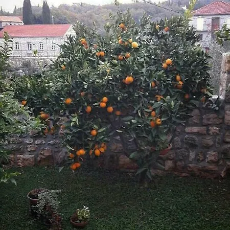 Kuca Cvjetkovic בית הארחה Gruda