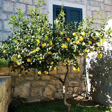 Kuca Cvjetkovic Casa de hóspedes