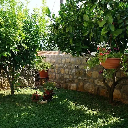 Guest house Kuca Cvjetkovic
