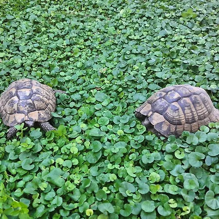 Maison d'hôtes Kuca Cvjetkovic