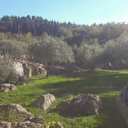 Maison d'hôtes Kuca Cvjetkovic