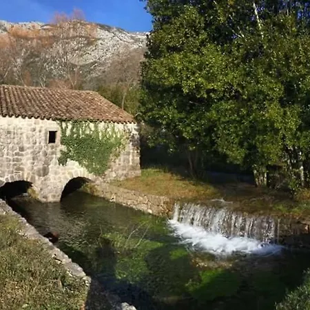 Kuca Cvjetkovic Gruda