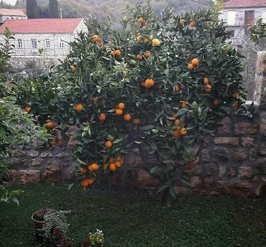 Kuca Cvjetkovic Pensionat Gruda