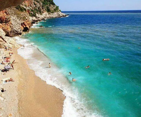 Pensionat Kuca Cvjetkovic